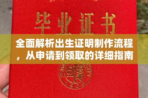 海北全面解析出生证明制作流程，从申请到领取的详细指南