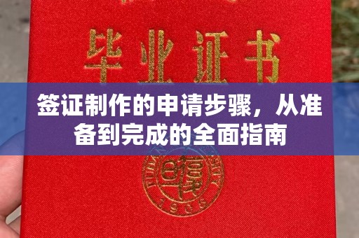 海北签证制作的申请步骤，从准备到完成的全面指南