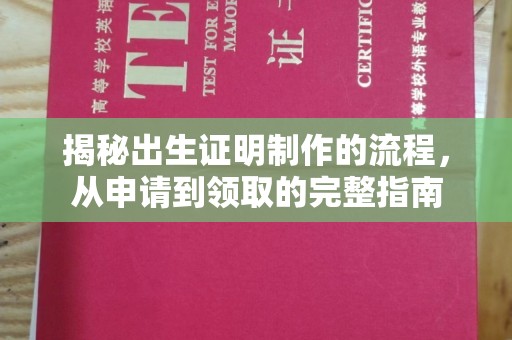 海北揭秘出生证明制作的流程，从申请到领取的完整指南