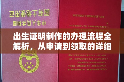 海北出生证明制作的办理流程全解析，从申请到领取的详细指南