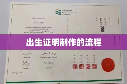 海北出生证明制作的流程