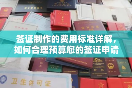 海北签证制作的费用标准详解，如何合理预算您的签证申请成本